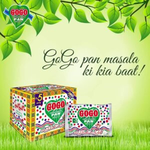 Gogo Pan Masala - Pack of 24