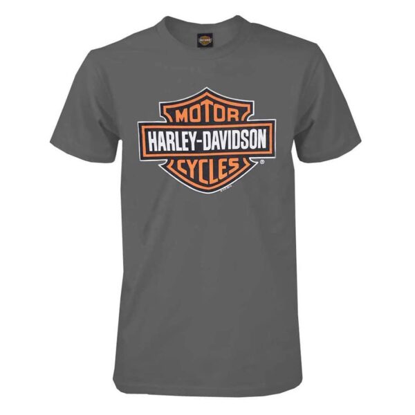 Harley Davidson Cycles T-Shirt for Men - Grey
